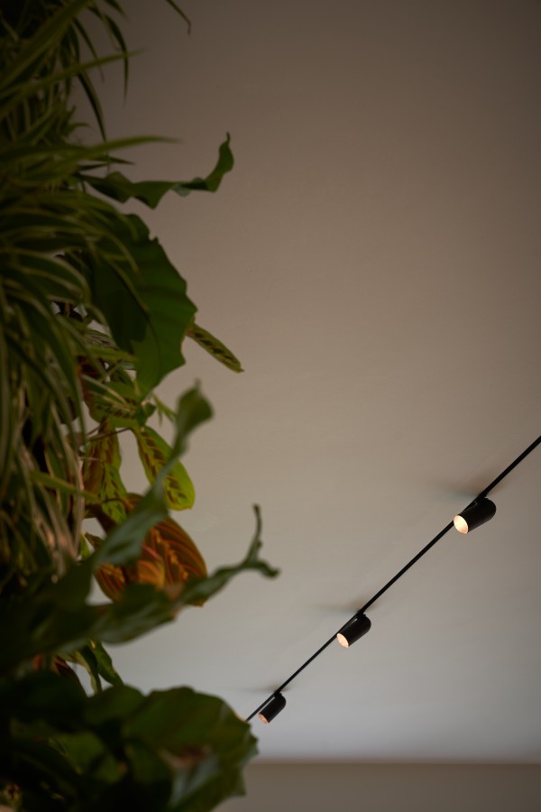 pvd-concept-projects-White line-Kapellen (BE)-image-19.jpg